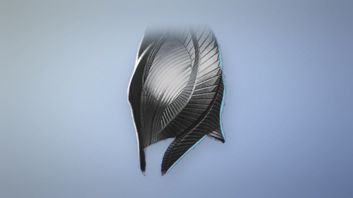 Chaser Helm