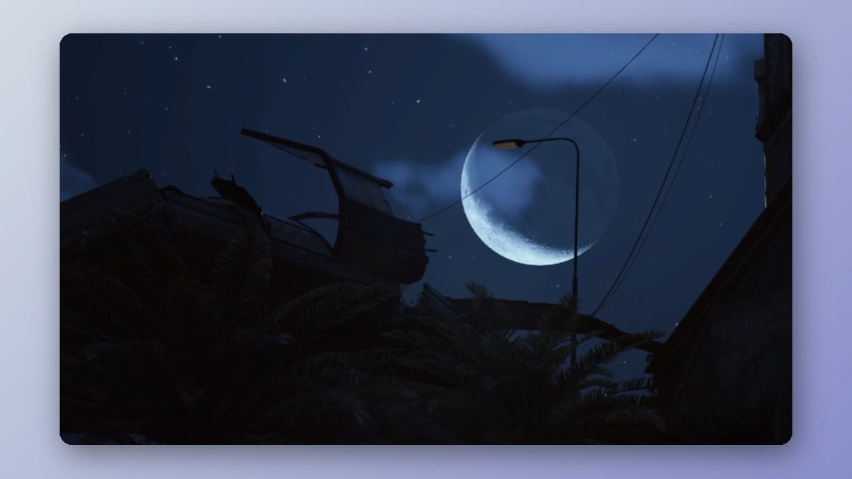 Night Raid