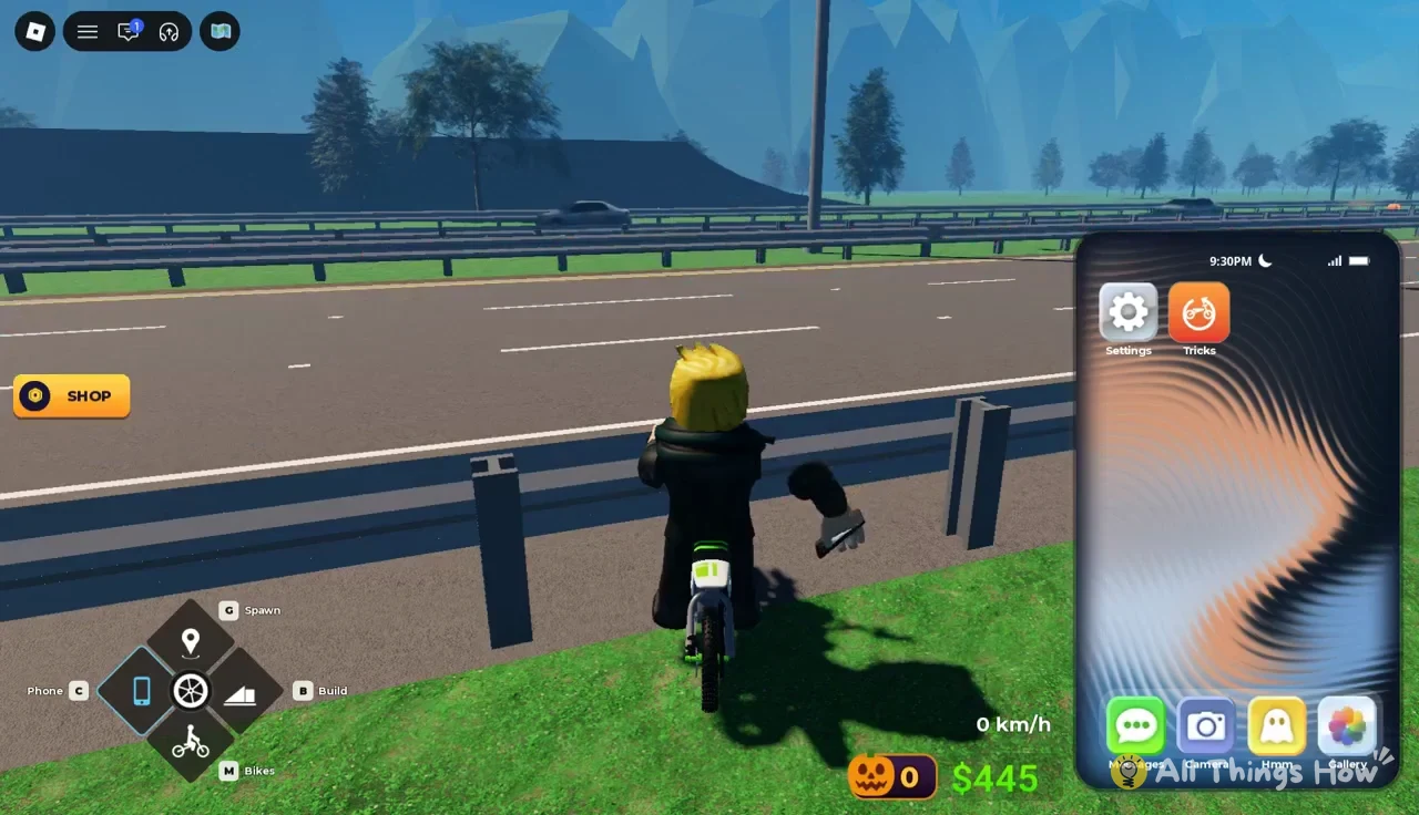 Phone home screen open beside the road with the Settings and Tricks app icons