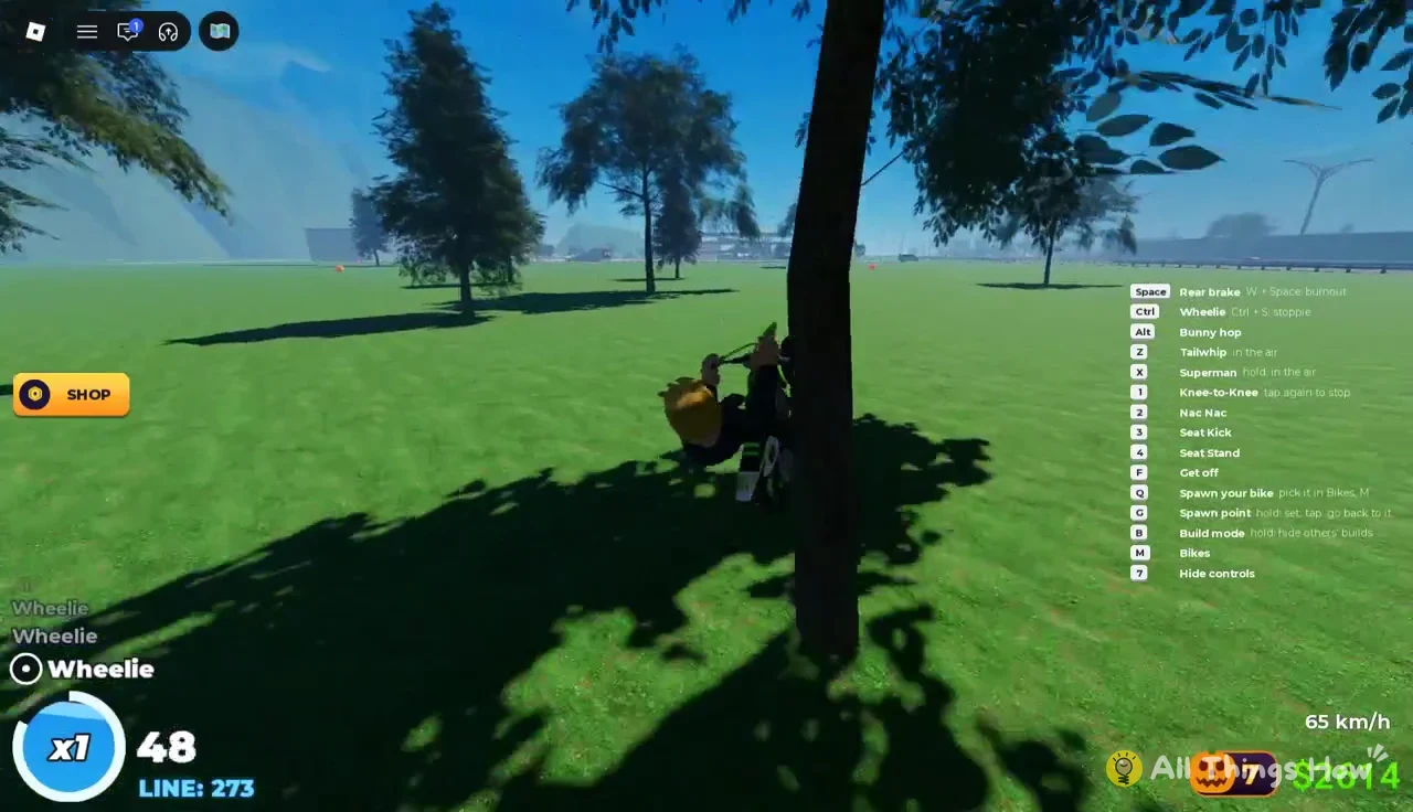 Bike holding a wheelie across a grass field with the Ctrl Wheelie control active