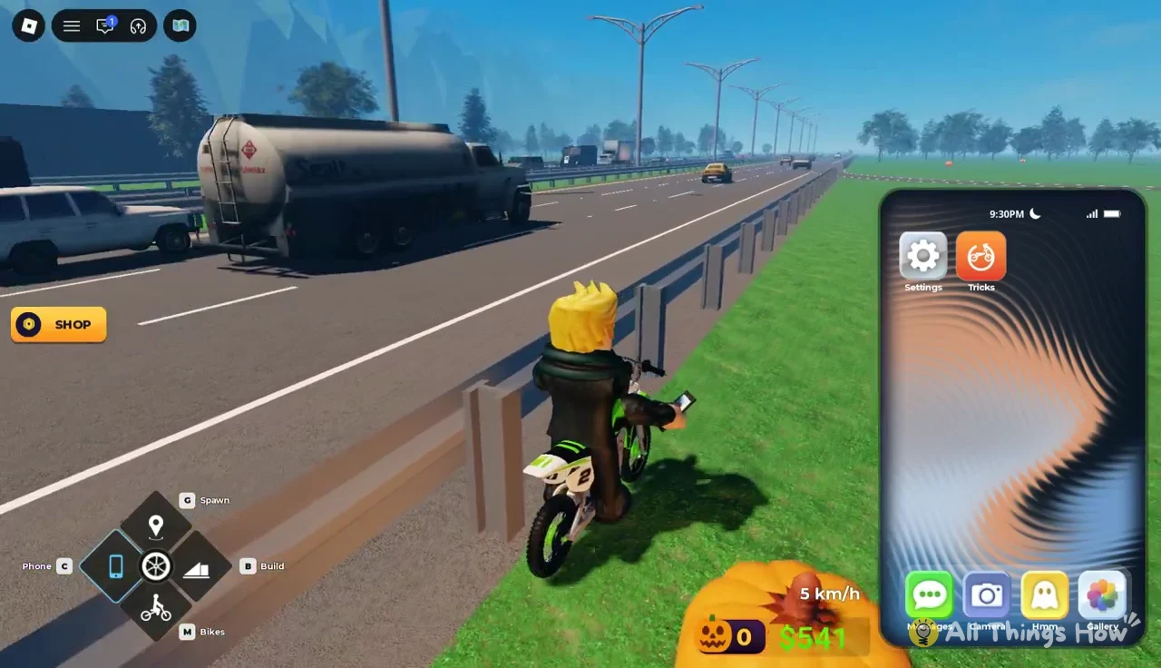 Phone home screen beside the highway showing the Settings and Tricks icons