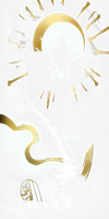 The Shadow Arcana card