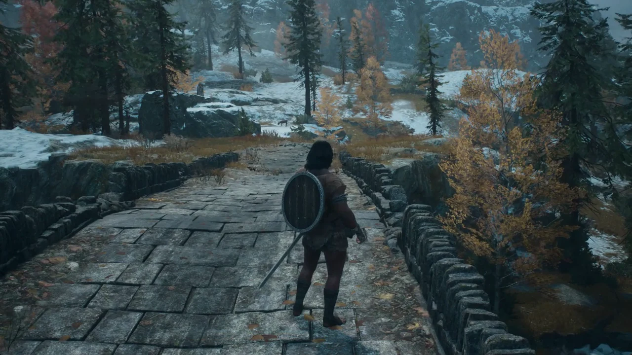 Player on the stone bridge facing the snowy forest ahead