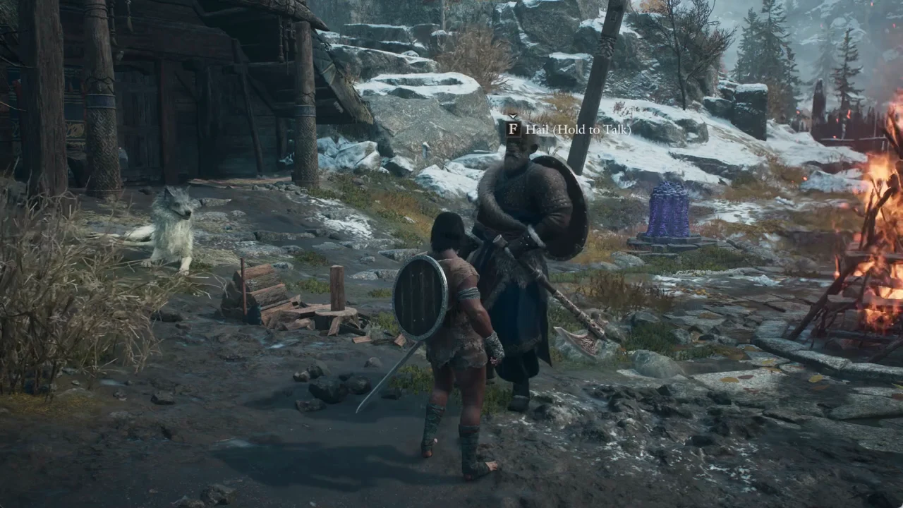 Hail prompt above Dorin by the bonfire in the settlement