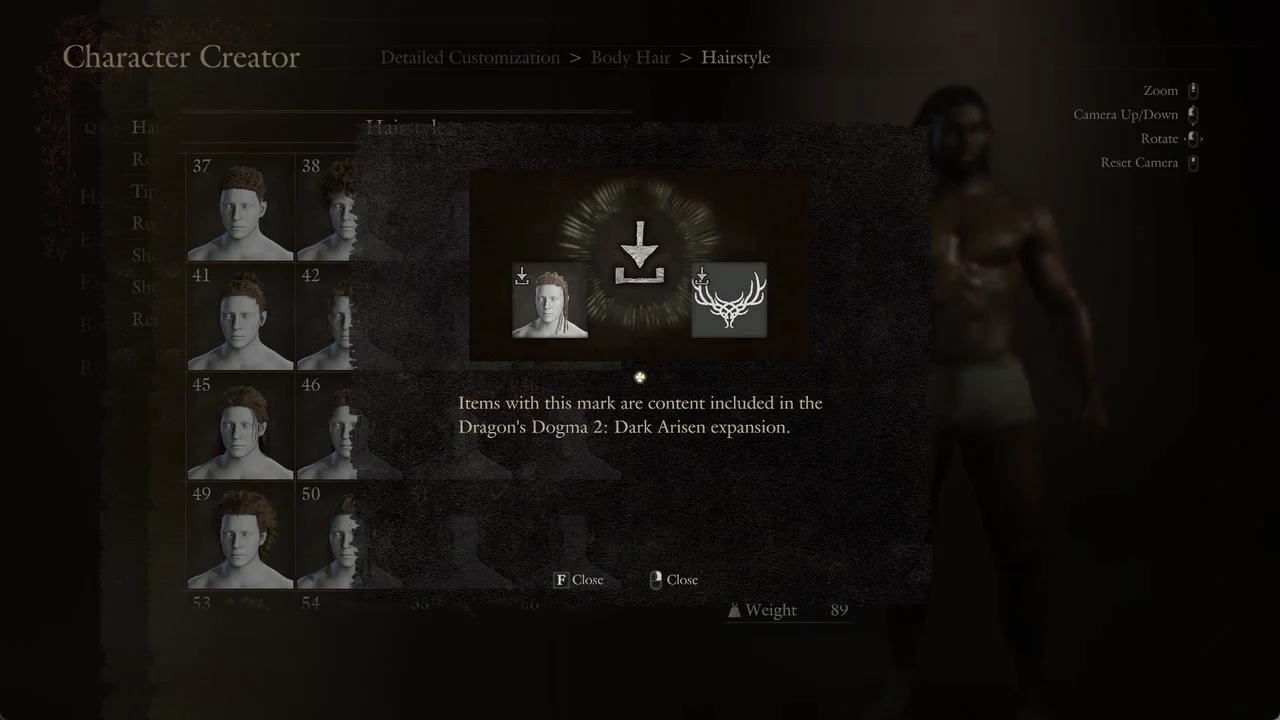 Help notice explaining the download-arrow mark flags Dark Arisen expansion content