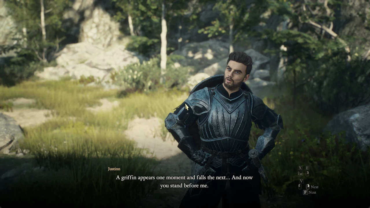 Talking with the armored soldier Justinn at the waterfall with the F Next prompt