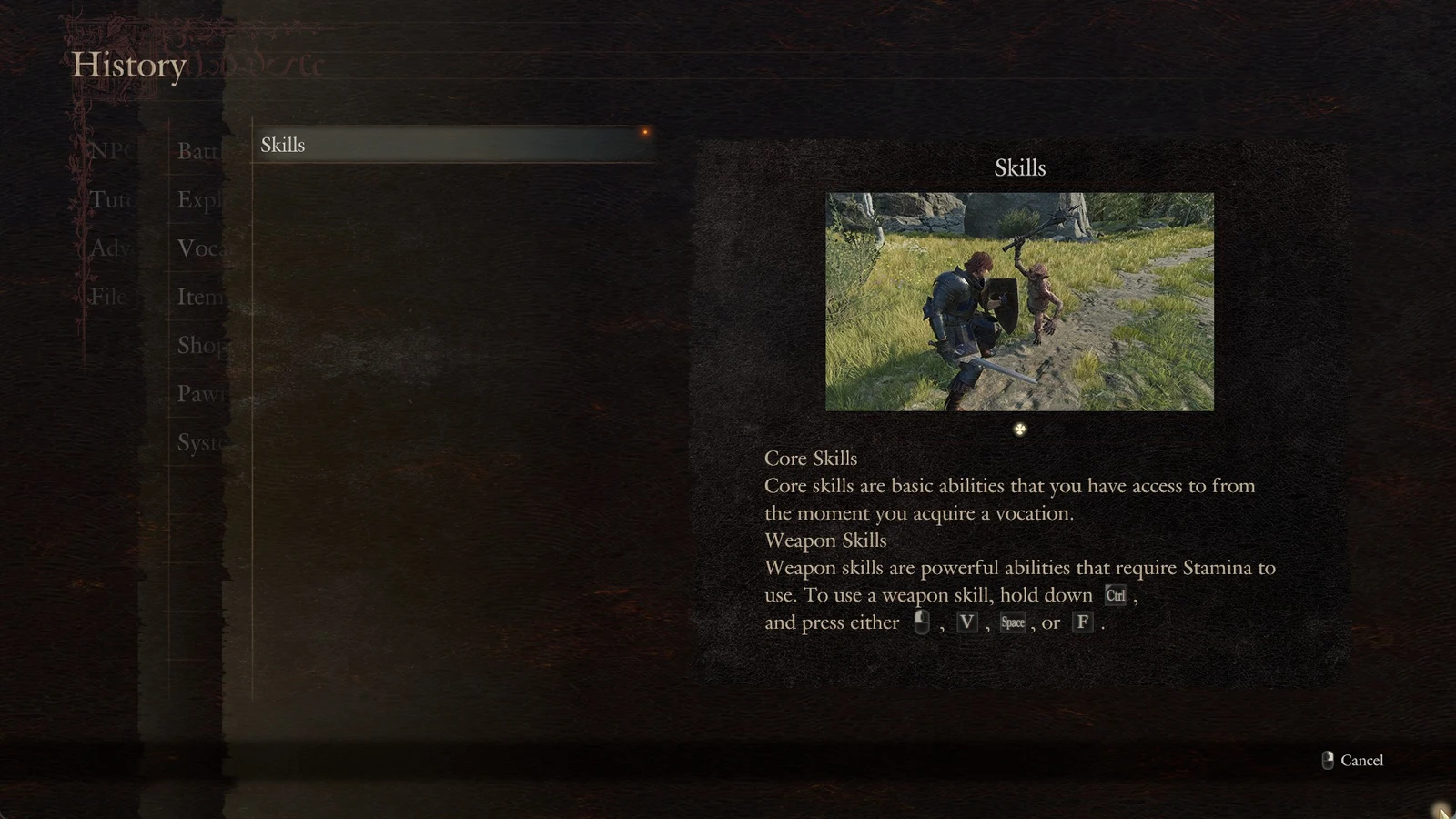 History menu with a Skills tutorial showing a shielded fighter facing a goblin and text about core and weapon skills.