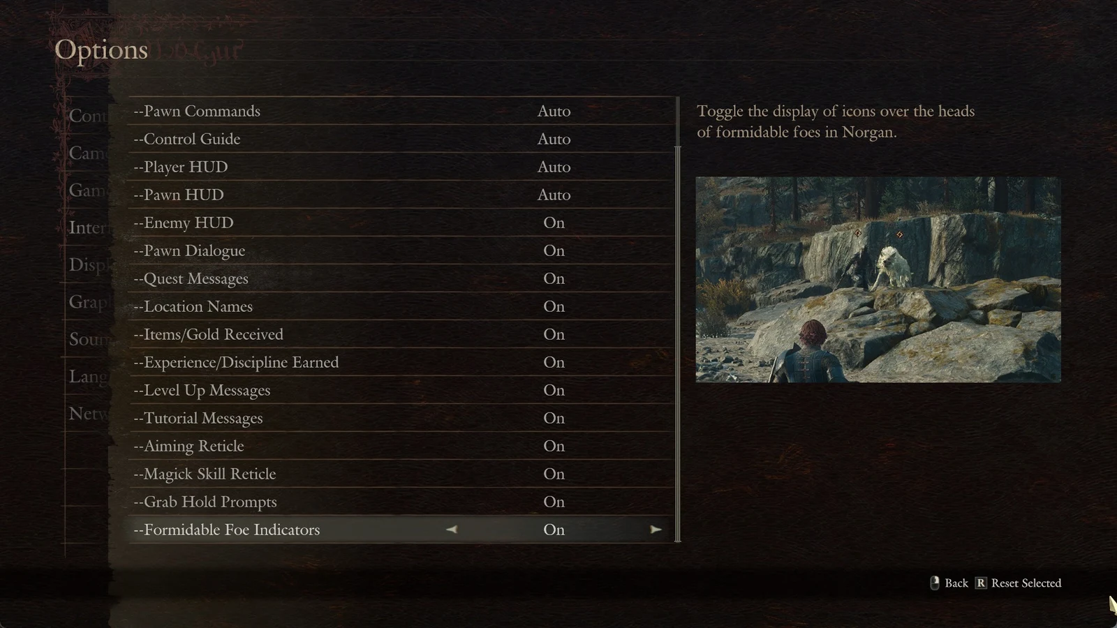 Options menu listing HUD settings such as Pawn Commands and Aiming Reticle, with a preview of a character facing a white beast on rocks.