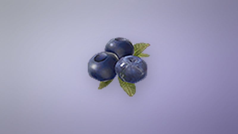 Blueberry in Dragon's Dogma 2