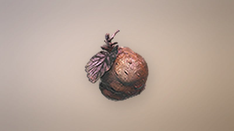 Boreal Tuber in Dragon's Dogma 2