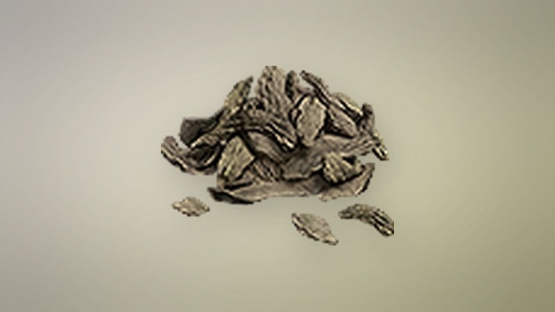 Dried Fish in Dragon's Dogma 2