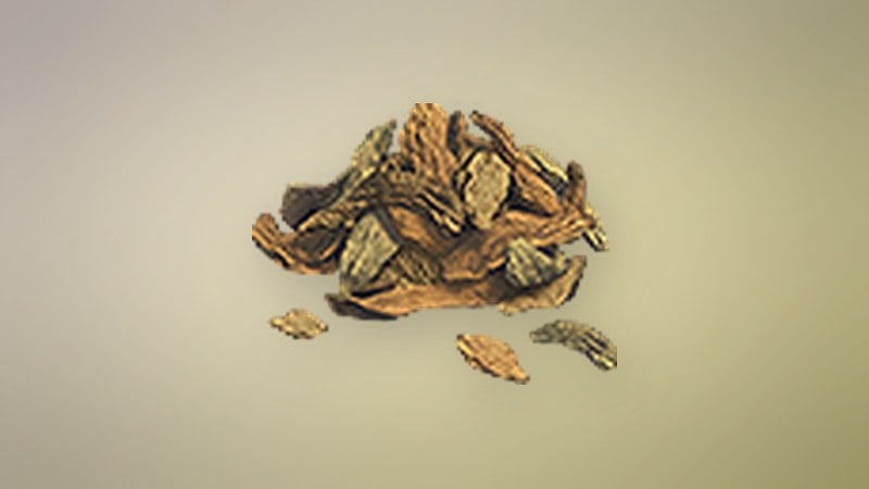 Dried Fruit in Dragon's Dogma 2