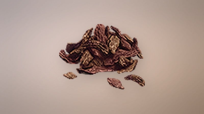 Dried Meat in Dragon's Dogma 2