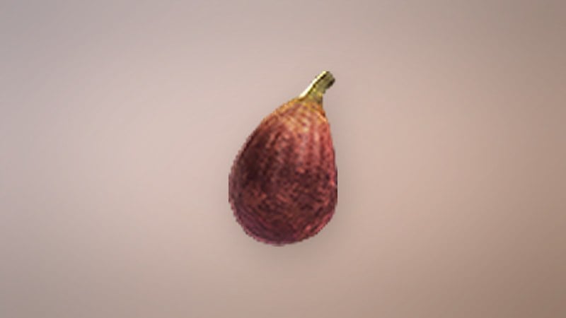 Fig in Dragon's Dogma 2