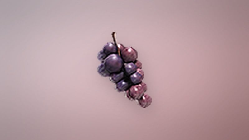 Grapes in Dragon's Dogma 2