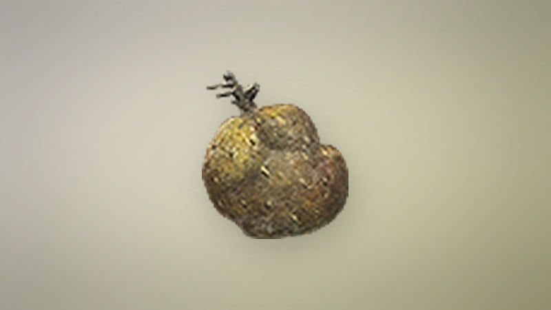 Harspud in Dragon's Dogma 2