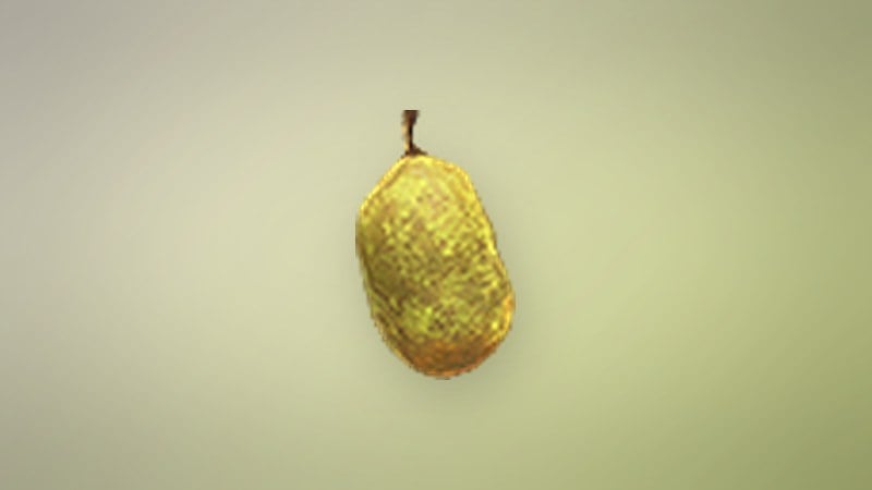 Quince in Dragon's Dogma 2