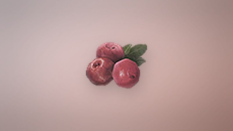 Raspberry in Dragon's Dogma 2