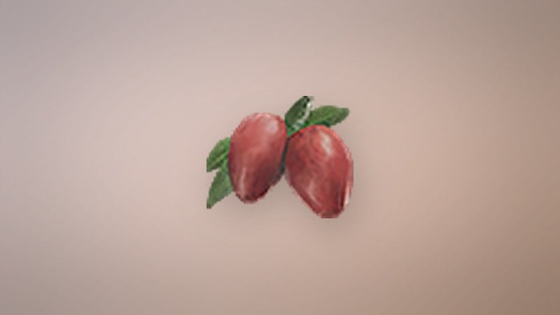 Strawberry in Dragon's Dogma 2