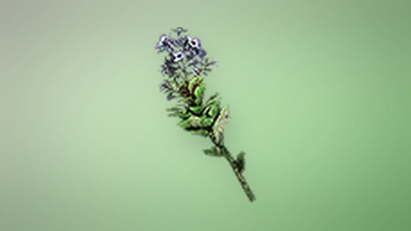 Winterweed Blossom in Dragon's Dogma 2