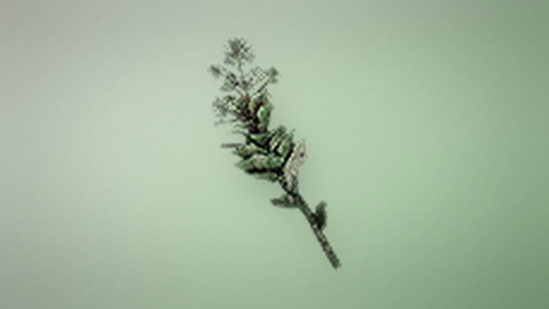 Winterweed in Dragon's Dogma 2