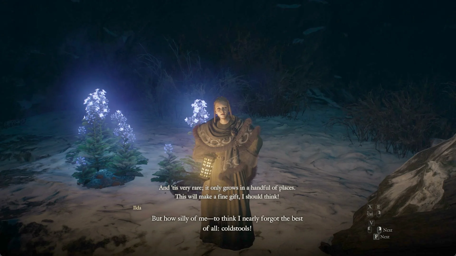 Ilda stands with her lantern beside glowing winterweed blossoms at night
