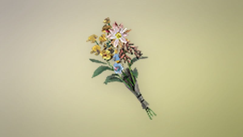 Bunch of Flowers in Dragon's Dogma 2