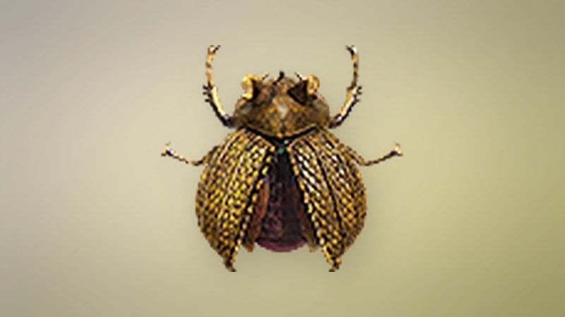 Golden Trove Beetle in Dragon's Dogma 2