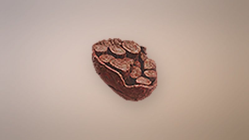 Wakestone Shard in Dragon's Dogma 2