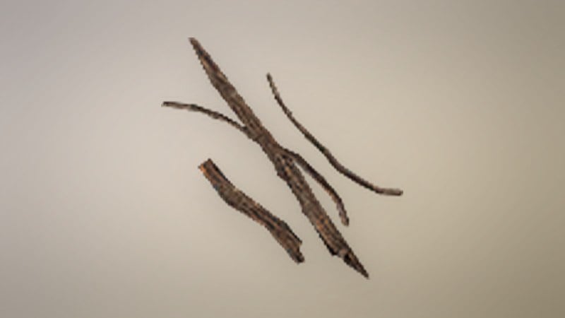 Withered Branches in Dragon's Dogma 2