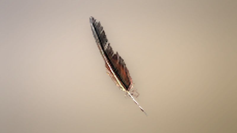 Harpy Pinion in Dragon's Dogma 2