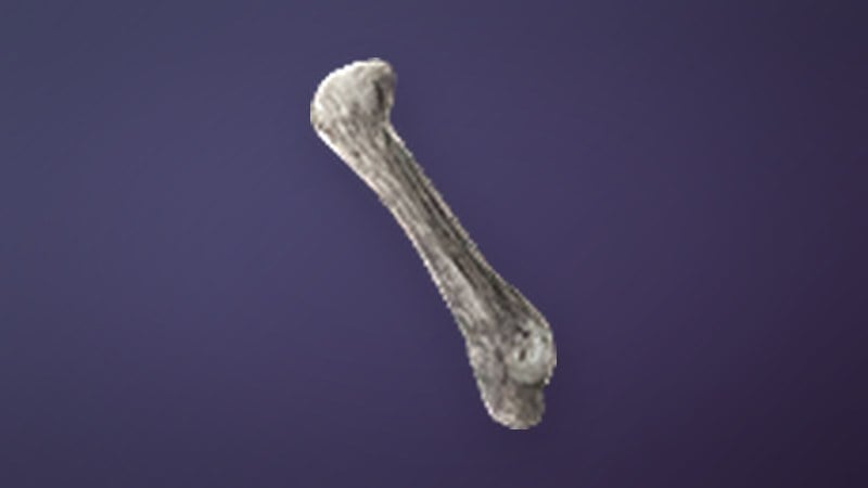 Ponderous Bone