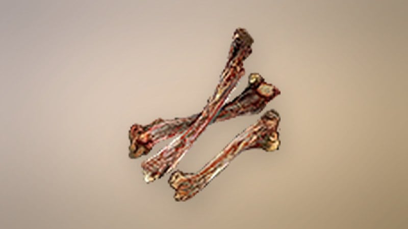 Snowdeer Bone
