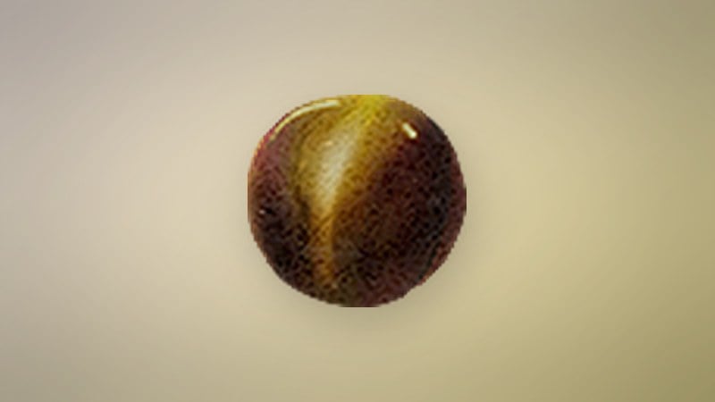 Tiger Eye in Dragon's Dogma 2