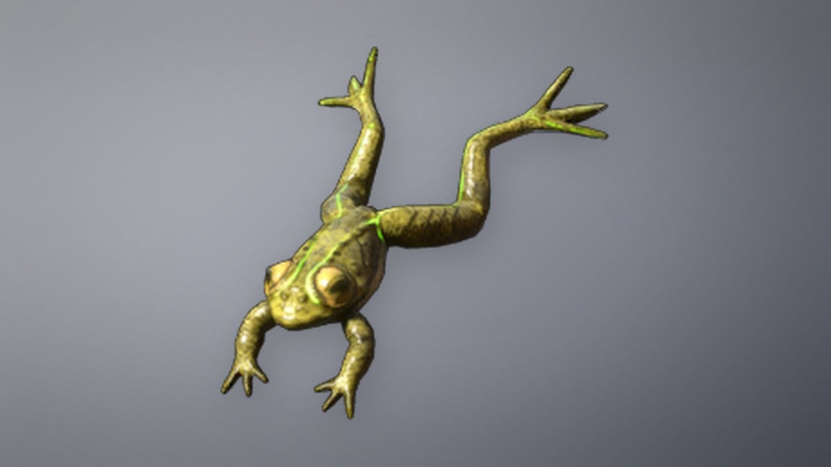 Frog store art from Enshrouded
