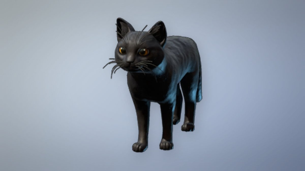 Captain Whiskers store art from Enshrouded