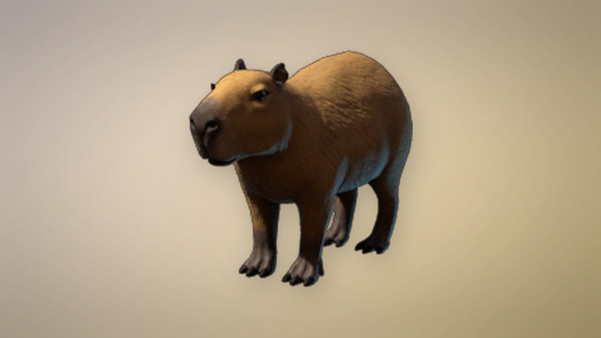 Capybara store art from Enshrouded