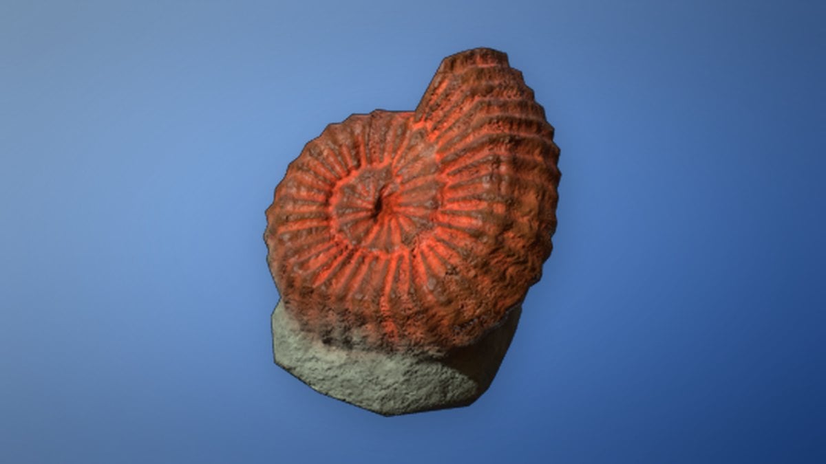 Big Ammonite store art from Enshrouded