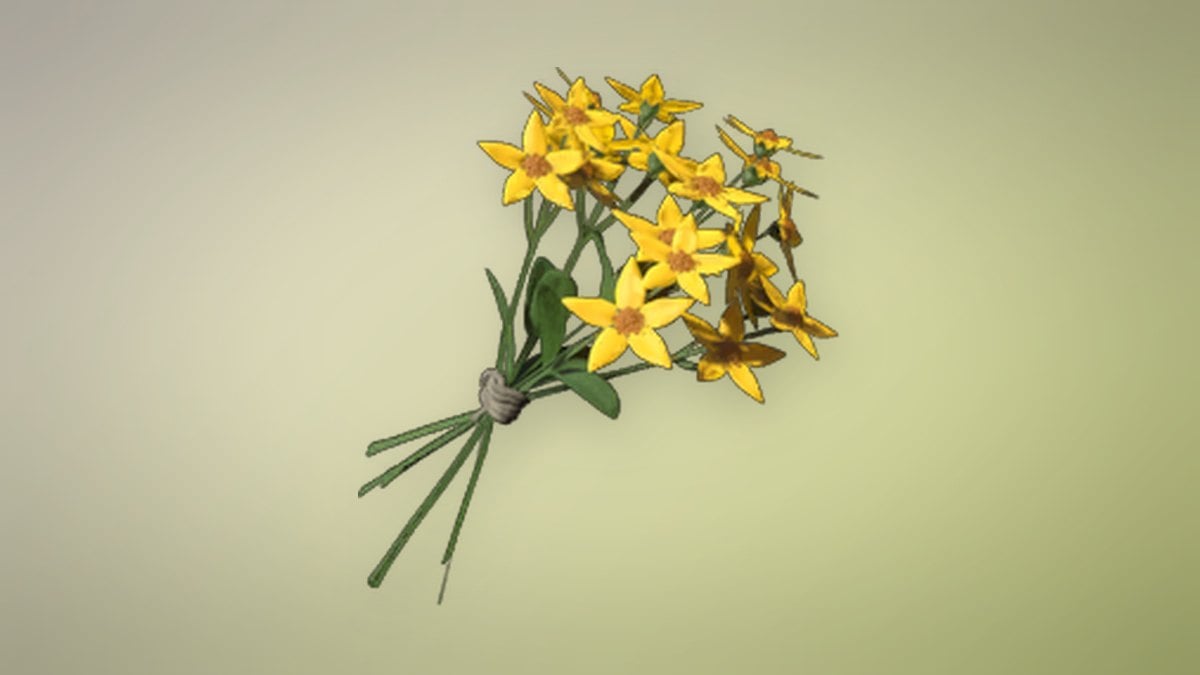 Aureolin Flower