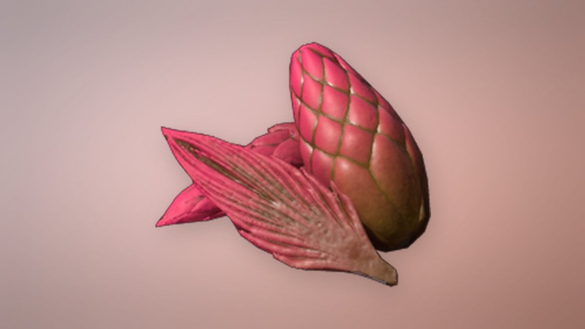 Bloomheart Fruit