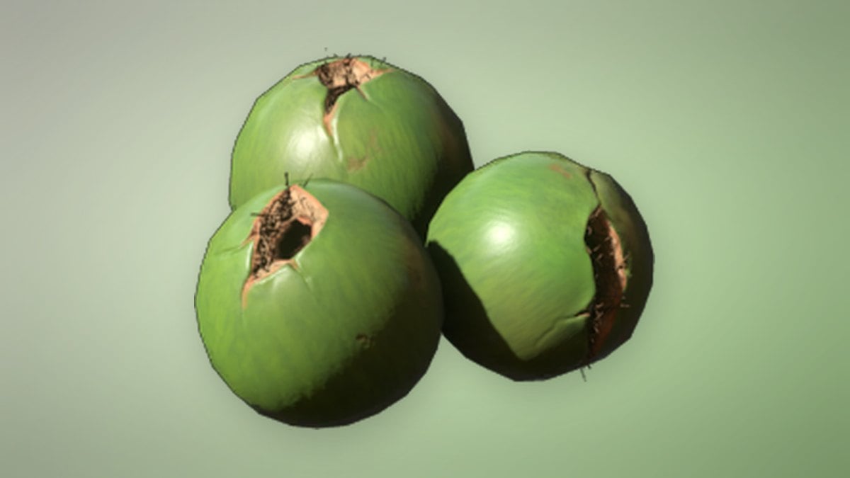 Coconut in Enshrouded