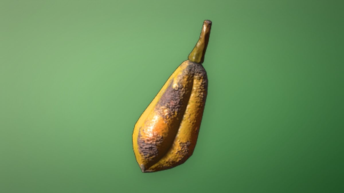 Grilled Yucca Fruit in Enshrouded