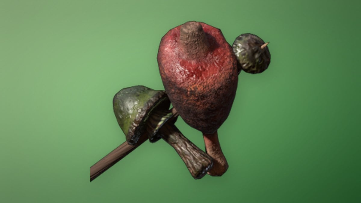 Meat and Azure Russula Skewer