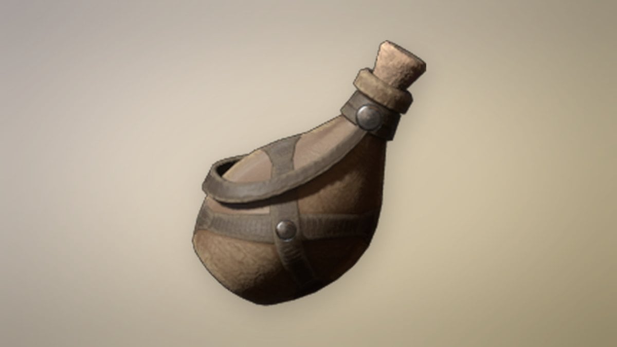 Water Pouch store art from Enshrouded