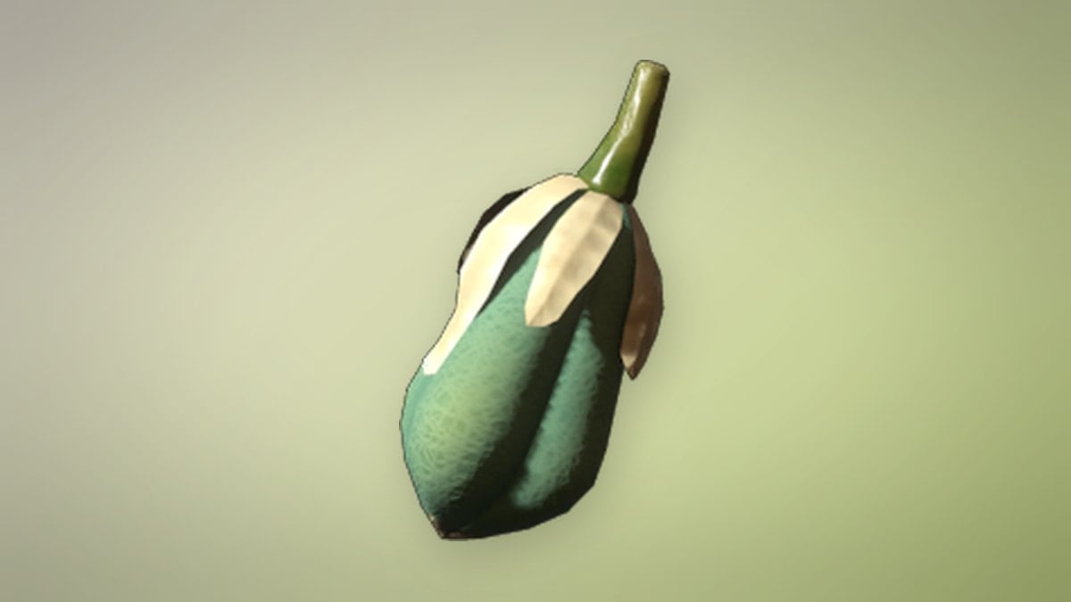 Yucca Fruit in Enshrouded