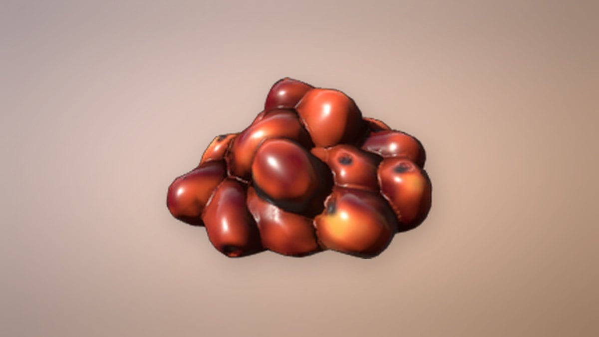 Coffee Beans in Enshrouded