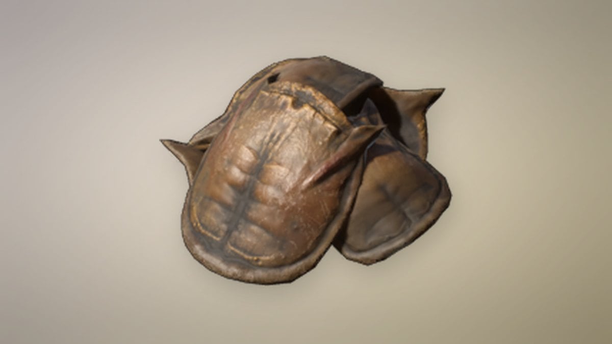 Ember Carapace