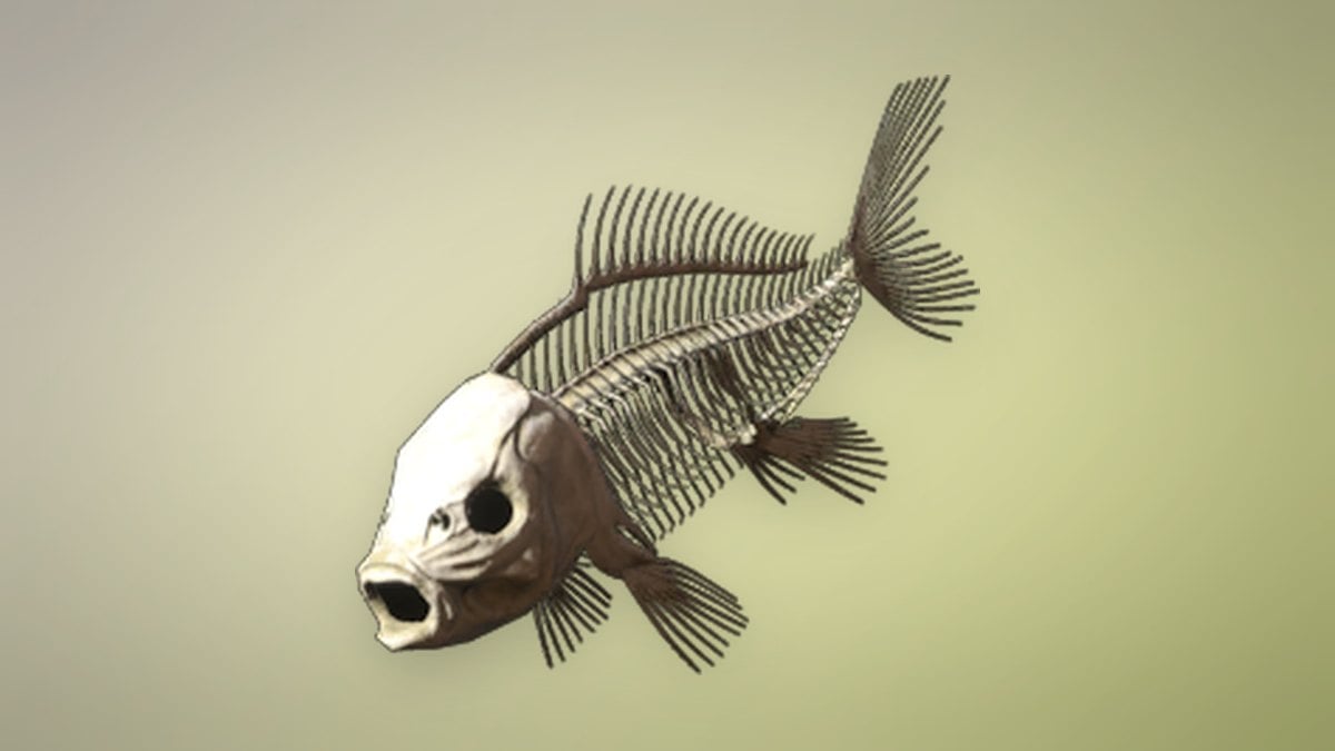 Fish Bones
