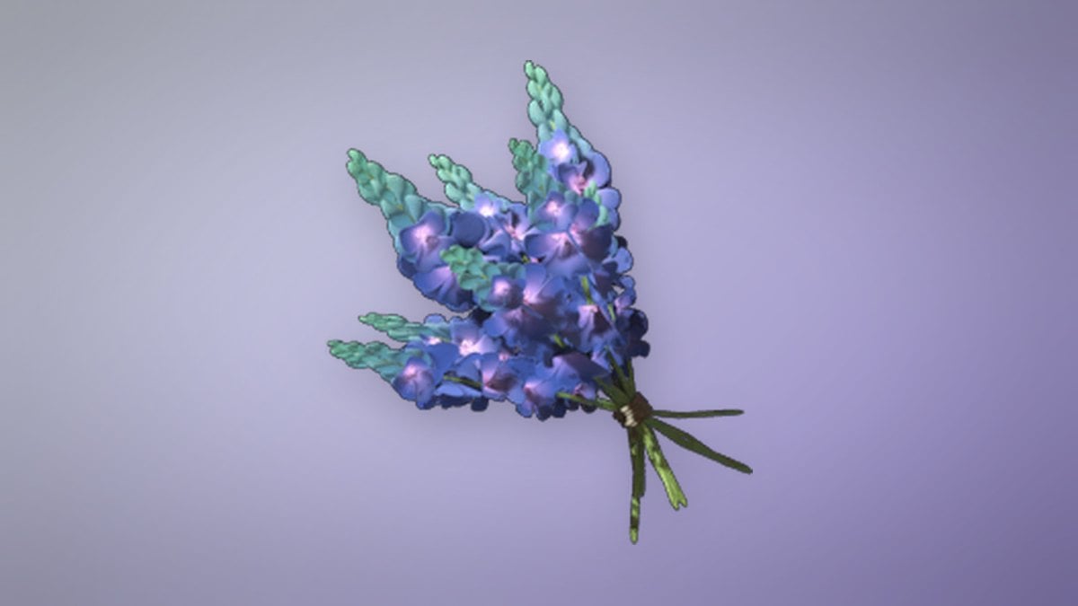 Indigo Plant