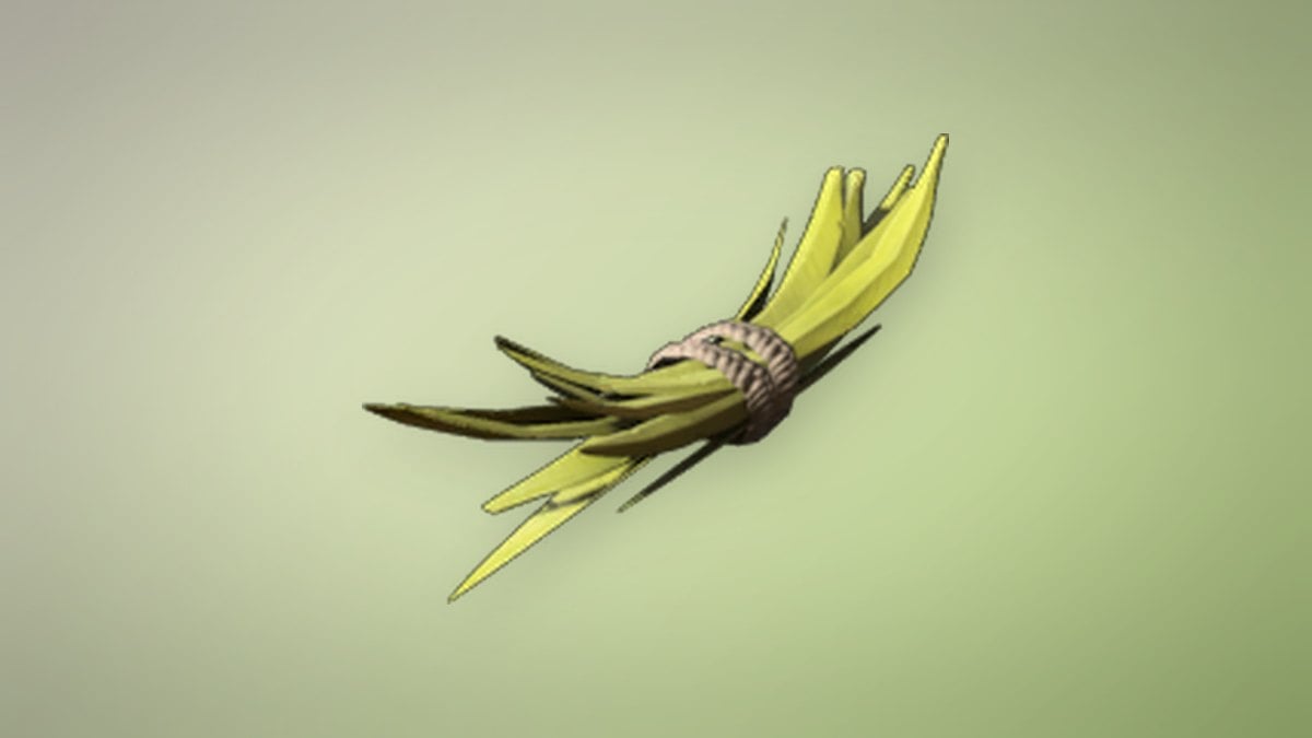 Plant Fiber